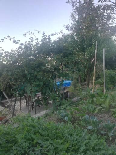 Отель Ca' Clementine Sasso di Bordighera Экстерьер фото
